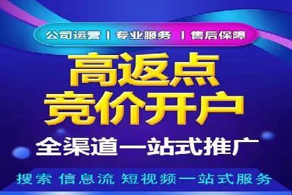 SEM托管服务成功案例：让广告投放更精准、更高效